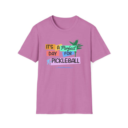 It’s a Perfect Day for Pickleball Shirt – Funny Pickleball Tee – Pickleball Player Gift – Pickleball Lover Shirt – Pickleball Court Humor